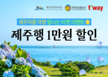 "제주여름 탐나"... 티웨이항공, 선착순 1만원 할인
