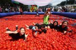 경기 광주시 퇴촌토마토거리축제, 3일간 30만명 방문...토마토축제 1위 증명