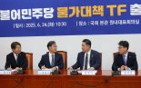 與 물가 대책 TF 출범…부동산·장바구니 물가 잡기 나선다