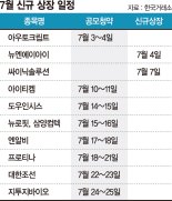 증시 랠리에 IPO 시장 활기… 7월 기업들 신규상장 이어진다