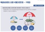 [하반기 달라지는 것들] 예금 1억 보호...카뱅서 모바일신분증 발급