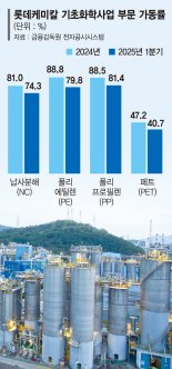 기업 자구책으론 역부족…"고부가 제품 개발 稅혜택 늘려야" [속도 못내는 석유화학 구조조정]