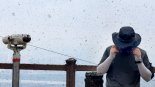 벌써 7월인데…러브버그 대체 언제 없어질까, 전문가 의견은