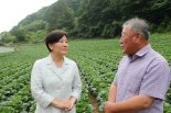 송미령 장관, 여름배추 출하 점검