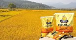전국 최고 밥맛 공식 인증 ‘횡성쌀 어사진미’...농협쌀 대표브랜드 전국 1위