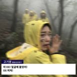 "죄 없는 러브버그 학살" 오열하더니, 얼굴에 붙자 "XX 꺼져"...더 큰 반전은