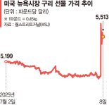 품목관세 꺼낸 트럼프 "의약품 200%…구리는 50% 추가" [무역 전쟁 확산]