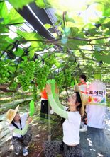 코카-콜라사 토레타! 폭염 속 수분보충 강조, 대학생 농촌봉사단체에 음료 전달