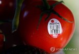 토마토 가격도 위협…식탁 물가 올리는 美 관세