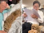 "왜 약올려~" 李대통령, 잠옷 입고 강아지와 '꽁냥꽁냥'...3년 전 영상 재소환