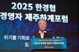 '경주·제주 기업인 1000명 집결'...최태원·류진, 韓재계 리더 역할 강화