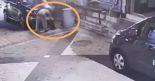 길고양이 안전고깔에 가두고 죽인 20대 男…경찰 입건
