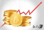 불리시, 뉴욕증시 '화려한 데뷔' 상장 첫날 주가 장중 219% 급등