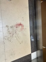 생일잔치서 사제총기로 아들 살해한 60대 구속 "도주 등 우려"