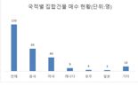 "한국인 대출 막혔다" 줍줍하자...중국인 아파트 쇼핑 '논란'