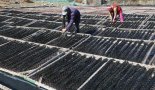 부산시, 어업인 공익수당 연 60만원 지급