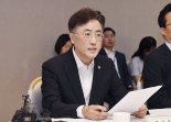 경제형벌 규제 30% 줄인다...정부 TF 본격 가동