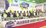 한국포도협회, "여름엔 포도, 샤인머스켓 소비촉진행사 진행"