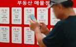 매물·거래 동시 증발… 시장 "매물 줄면 가격 못잡아"