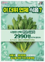 '이상기온'에 시금치 가격 급등...서울시, 75% 할인 지원