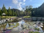 "지구촌 수련 감상하세요"...국립정원문화원, '세계의 수련展'