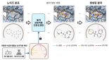 '한국형 알파폴드' 나왔다...표적 정보만으로 AI가 약물 후보 설계...