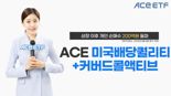 한투운용 ACE 미국배당퀄리티+커버드콜액티브, 개인 순매수 200억 돌파