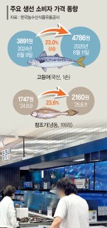 "오징어채, 밥상 못 올린지 오래" 金수산물에 장보기 무섭네 [현장르포]