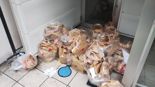 포켓몬 카드만 쏙 빼고 햄버거는 버렸다..日맥도날드 매장 앞에 쌓인 햄버거 '논란'