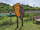 용인시, 기흥호수정원에 맨발길 조성