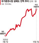 역대급 코스피에 공매도 타깃된 반도체 소부장株