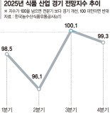 식품업계 내수부진에… 연말 줄줄이 가격 인상하나