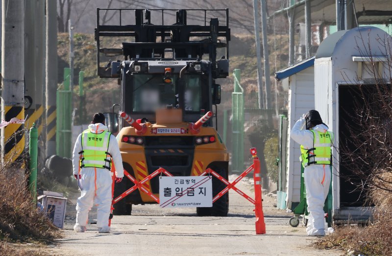 지난 25일 고병원성 조류인플루엔자가 발생한 경기 평택시 산란계 농장 출입이 26일 통제되고 있다. 연합뉴스 제공