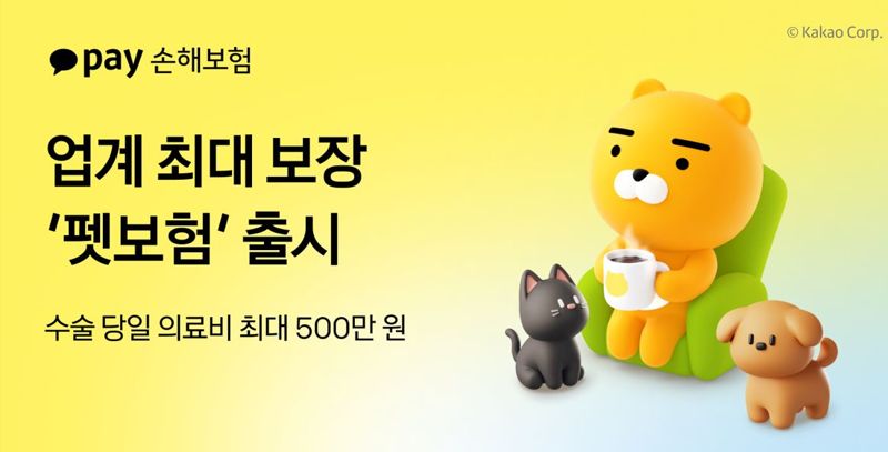 카카오페이손해보험 제공