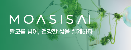 모아시스 배너