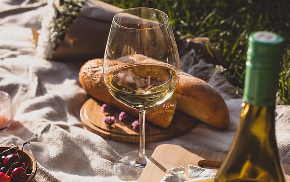 '와인알못'을 위한 와인 기초: 와인 용어와 와인 품종