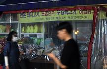 섹션메인3