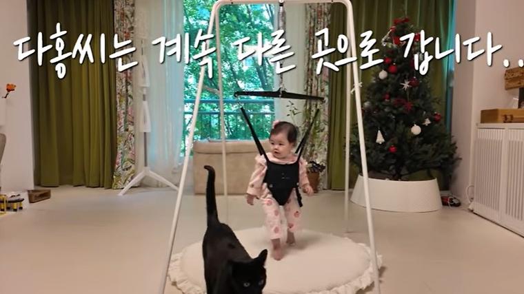 헉스기사