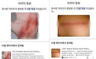 뉴스스탠드 기사 보러가기