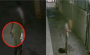 뉴스스탠드 기사 보러가기