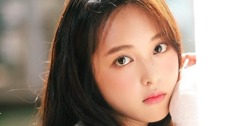 헉스기사