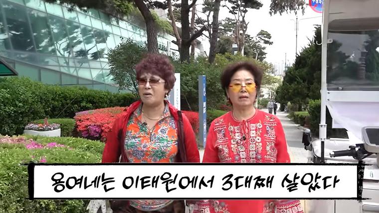 헉스기사