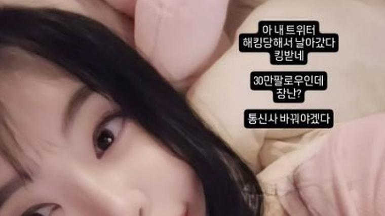 헉스기사