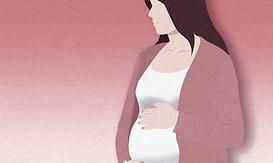 뉴스4