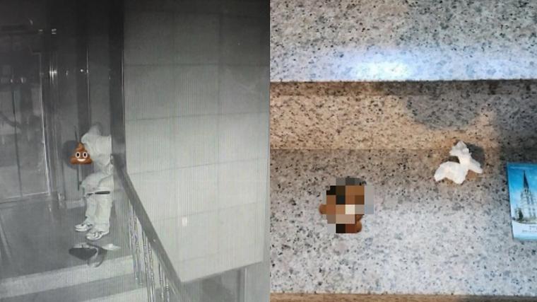 헉스기사
