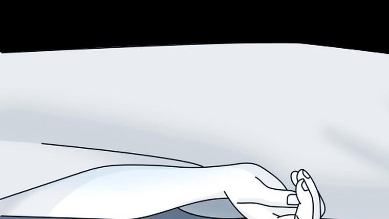 헉스기사