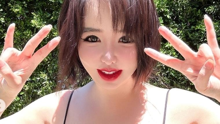 헉스기사
