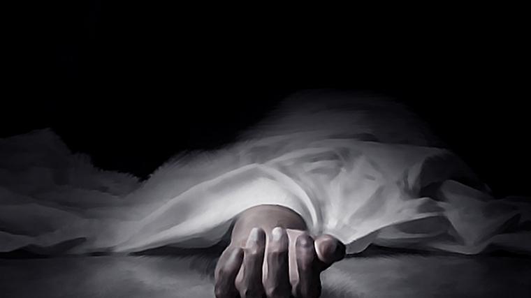 헉스기사