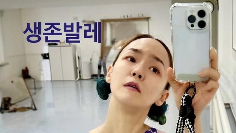 헉스기사