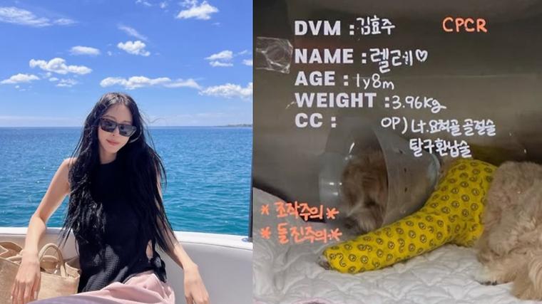 헉스기사